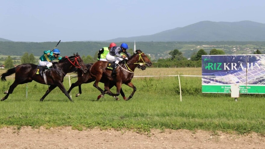 Na hipodromu "Šejkovača" u subotu konjičke trke