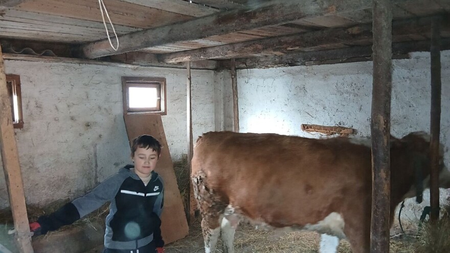 Hvale vrijedna akcija: Mljekari TK donirali kravu osmogodišnjem Ahmetu