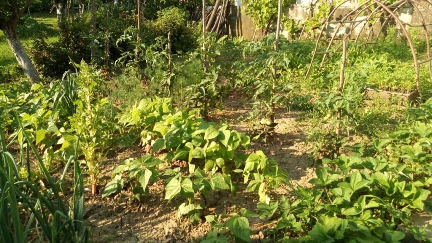 Sunčano i veoma toplo sve do ponedeljka