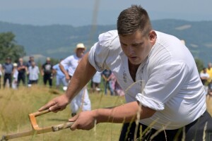 Našim izmakla "zlatna kosa": Mladić, domaćin, livadu pokosio za četiri i po minuta