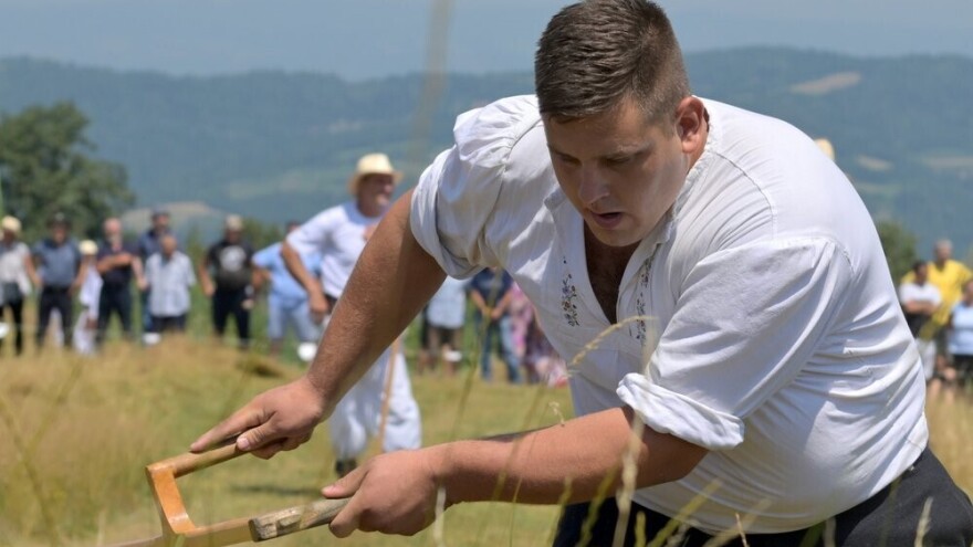 Našim izmakla "zlatna kosa": Mladić, domaćin, livadu pokosio za četiri i po minuta