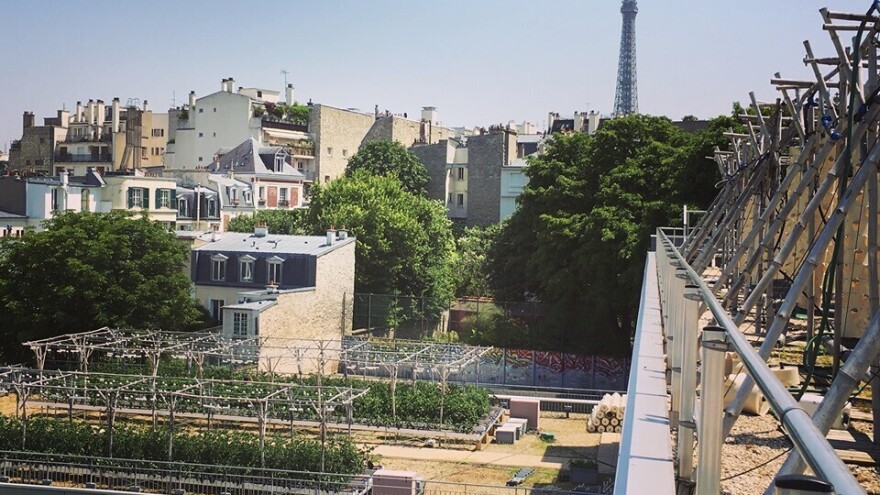 Najveća gradska farma na svijetu uskoro u Parizu - proizvodit će enormne količine hrane