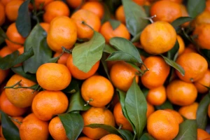 Zabranili uvoz mandarina iz Turske