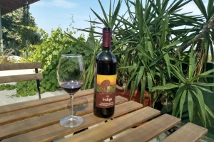Kako nastaje organsko vino i koje su razlike u odnosu na konvencionalno?