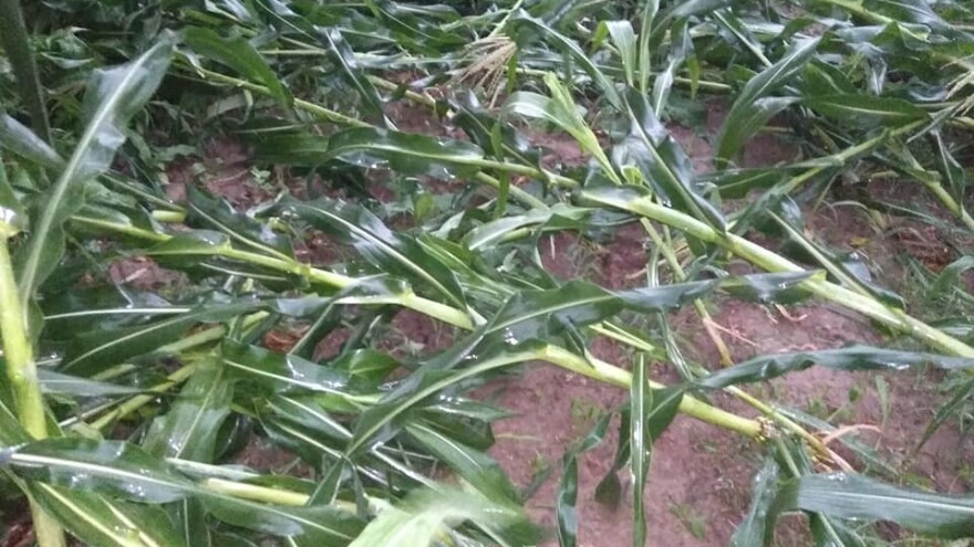 Više od 5 miliona KM - tolika je šteta zbog nevremena u Semberiji