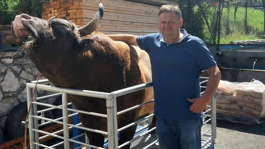 Medonja po slavi "parira Sušiću", tražen do Japana i nitko ga ne može kupiti