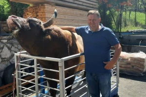 BiH: Bik Medonja tražen do Japana i niko ga ne može kupiti