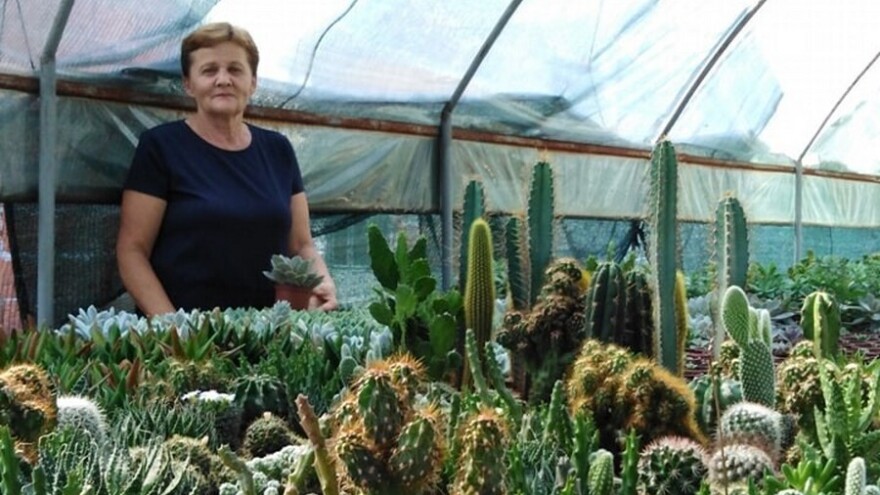 Četiri žene - četiri vrijedne pokretačice uspješnih poslova u svojoj seoskoj sredini