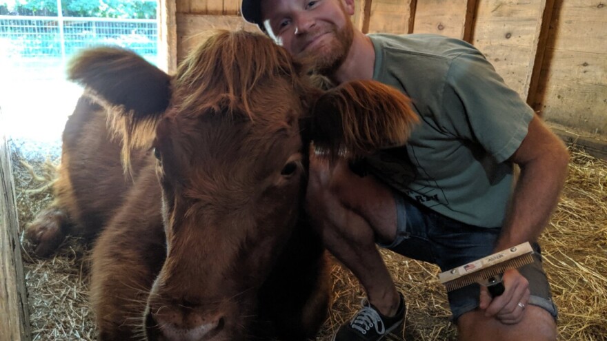 Terapiju grljenja sa kravama naplaćuju 130 KM