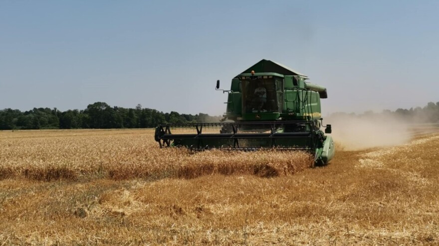 Prvi otkosi s posavskih njiva - natprosječni rezultati žetve