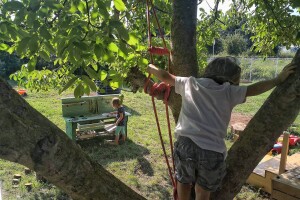 "Šumska djeca" kod Pule uživaju u blagodatima prirode u kojoj borave