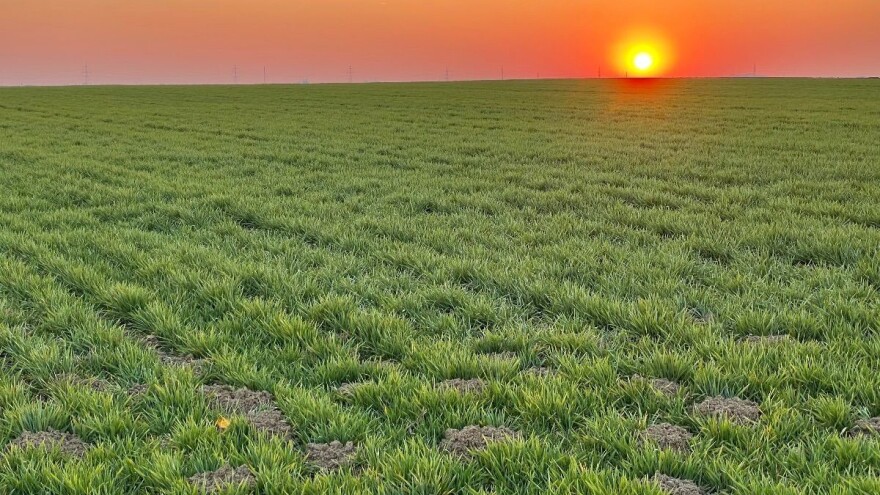 Odgoda zelenih planova EU neminovna? Valja hitno popustiti okolišne politike?!