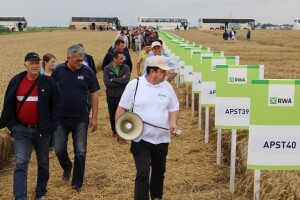 RWA Solindo pobjednik u pokusu na beljskim oranicama - prinos 9.910 kg po hektaru