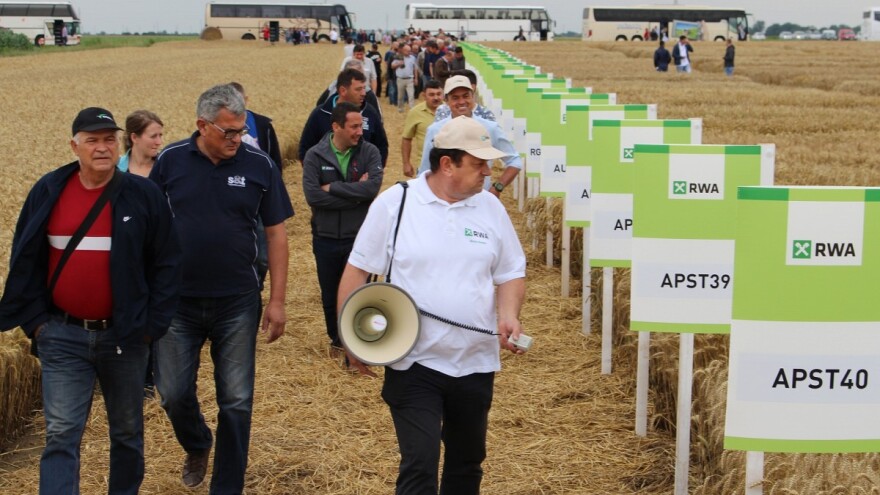 RWA Solindo pobjednik u pokusu na beljskim oranicama - prinos 9.910 kg po hektaru