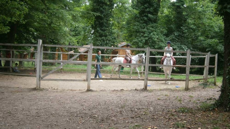 Vladimir Živković više od četiri decenije u konjarstvu