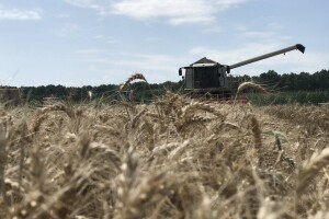Prinosi pokusa pšenice na OPG-u Pavao Švub od 5,8 do 8,6 t/ha