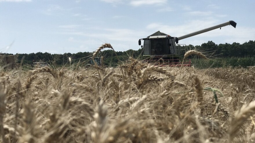 Prinosi pokusa pšenice na OPG-u Pavao Švub od 5,8 do 8,6 t/ha