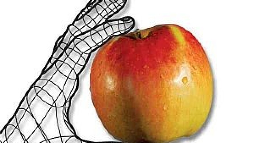 U Biogradu počela 6. Agro Arca