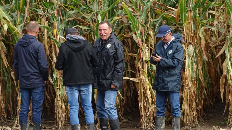 Dan polja kukuruza:  Dobra godina potvrdila aktualne, ali najavila i nove BC hibride