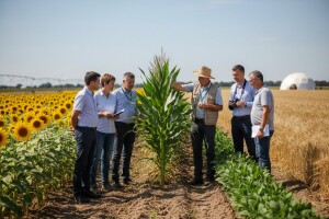 71 sorta 10 kultura na Danima polja KWS-a