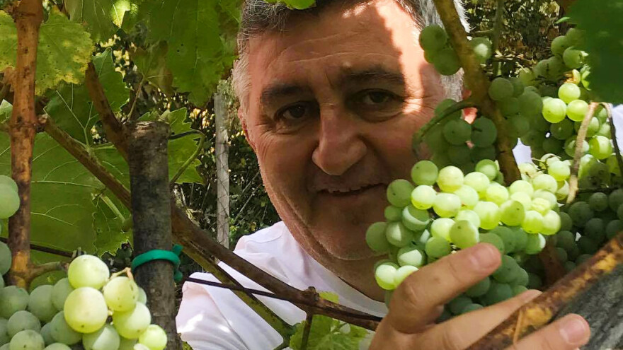 "Vinske priče Bosna i Hercegovina" Željka Garmaza u osvajanju Gorumand nagrade