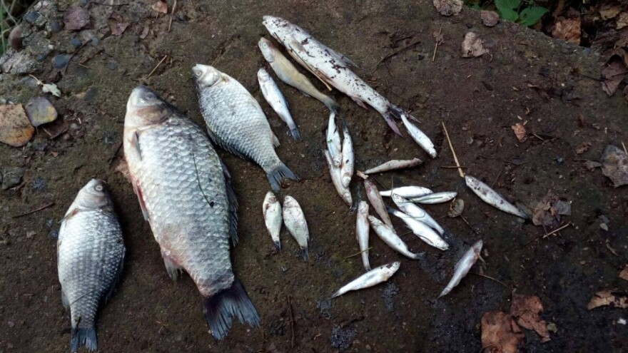 Šta se dešava sa Sprečom? Svi su od nje digli ruke?