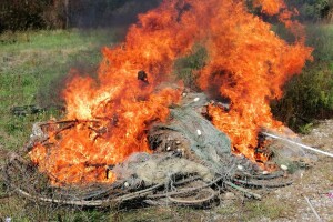 Spalili mreže krivolovcima jer izvuku toliko ribe da završi kao hrana za svinje