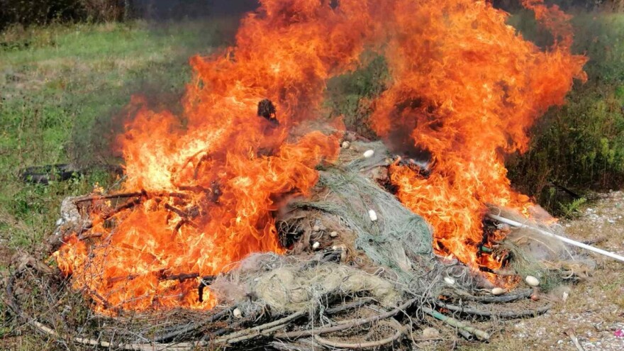 Spalili mreže krivolovcima jer izvuku toliko ribe da završi kao hrana za svinje