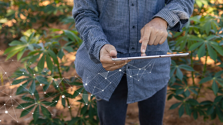 Sedam koraka do digitalizacije poljoprivredne proizvodnje