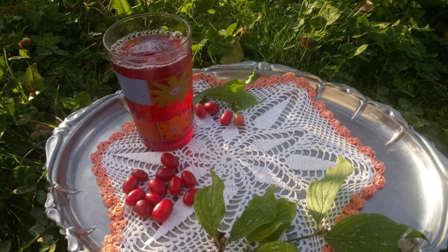 Drijen - napravite sok ili džem, šta god izaberete, nećete pogriješiti