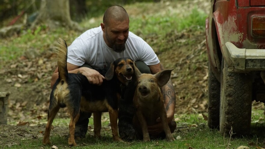 Shumska farma Nikole Borića: Svinje preruju zemlju, kokoši zagrnu sjeme, pčele opraše