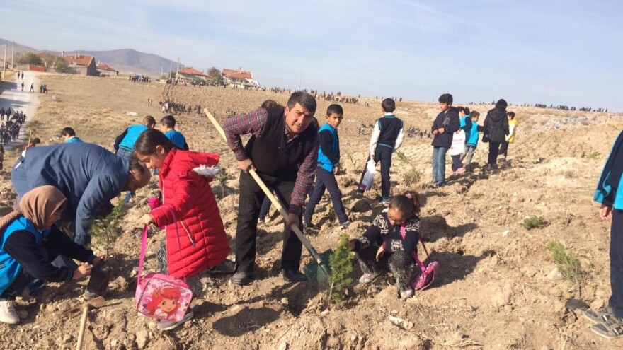 U sat vremena zasađeno 303.150 sadnica - srušen Guinnessov rekord