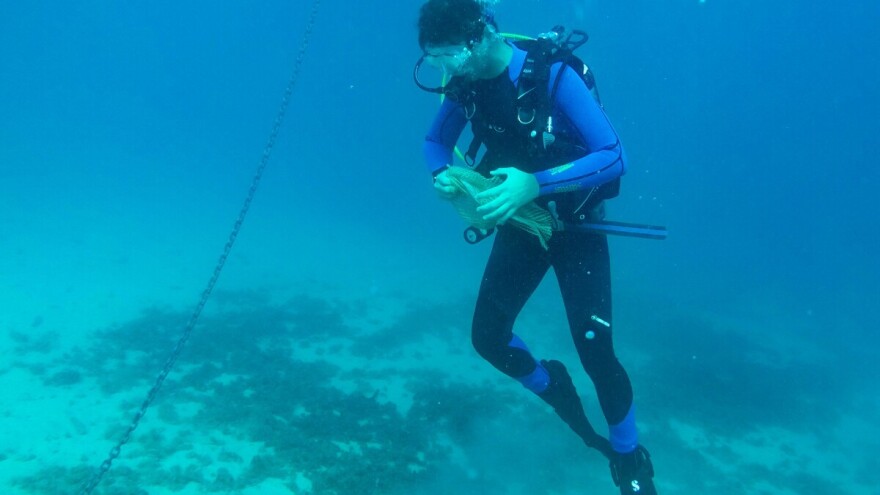 Uklonili gotovo 5 kubičnih metara morskog otpada!