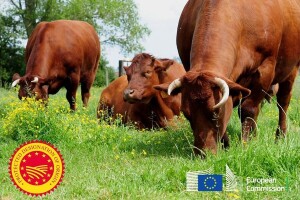 Govedina crvene flandrijske pasmine na popisu EU oznaka zemljopisnog porijekla