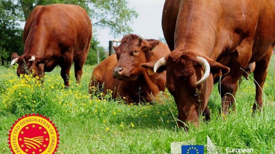 Govedina crvene flandrijske pasmine na popisu EU oznaka zemljopisnog porijekla