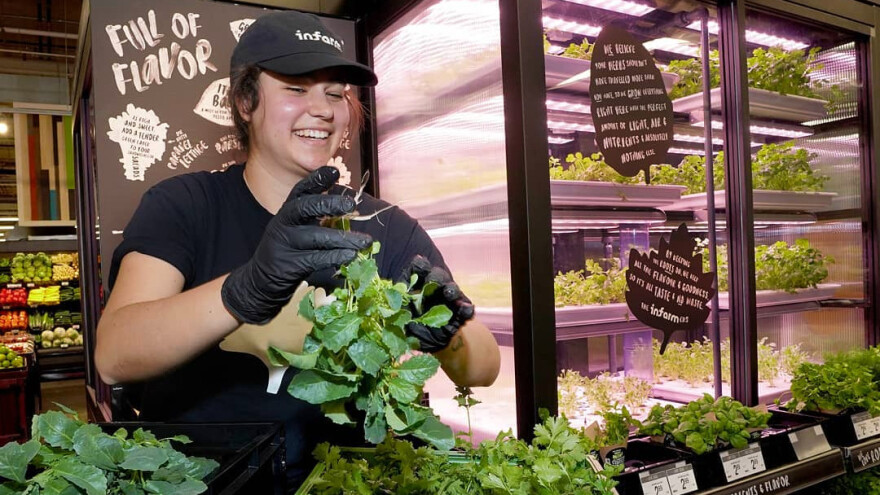 Povrće prodaju s korijenom: U Infarm ulažu veliki svjetski investitori