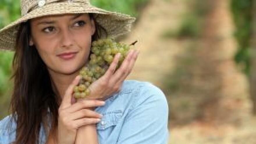 Vinitaly Vas poziva - predstavite svoja vina!