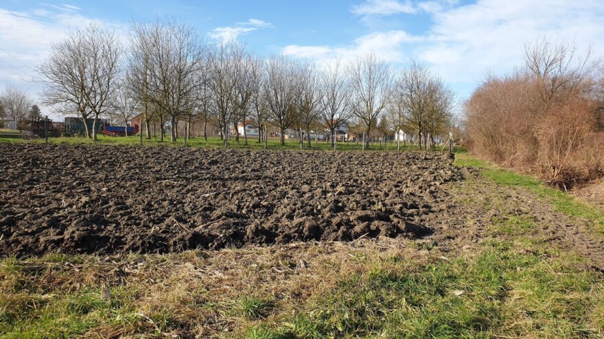 Temperature će do kraja sedmice pogodovati pripremi za zimsko mirovanje