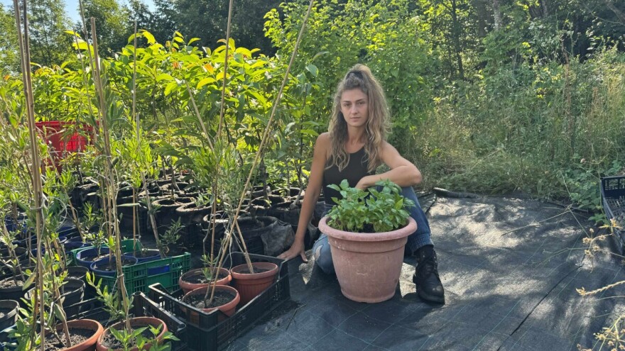 Ivana Pavić: Naša država odlučila je krš tretirati kao neželjeno dijete