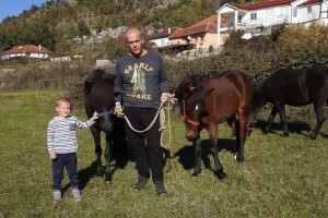 Ako država ne reaguje Bosanski brdski konj nestat će zajedno s uzgajivačima