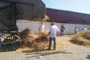 "Zalazak u svitanju": Kako se nekada vršilo žito?
