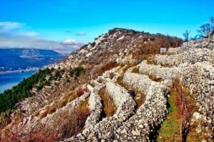 Eko proizvodnja u poljoprivredi Vinodola