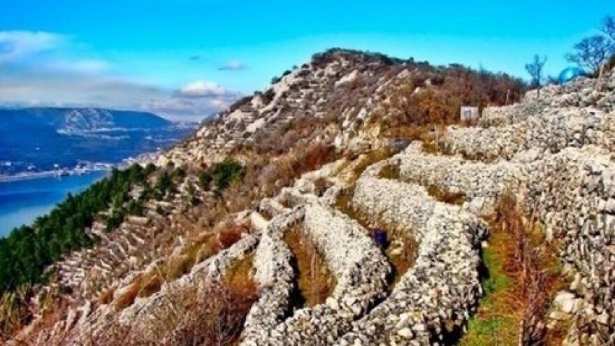 Eko proizvodnja u poljoprivredi Vinodola