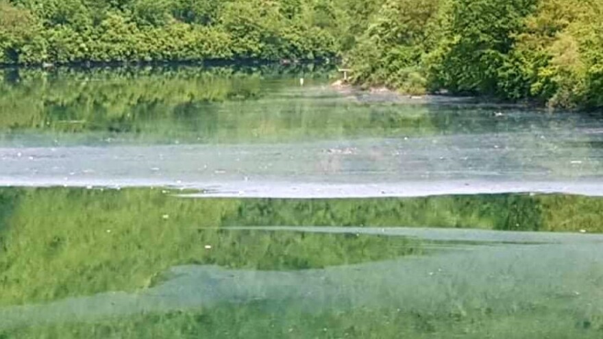 Cvjetanje algi uznemirilo građane u okolini Jablaničkog jezera