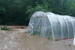 Zasadi maline zbrisani s lica zemlje, usjeve uništila poplava u Olovu