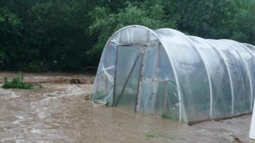 Zasadi maline zbrisani s lica zemlje, usjeve uništila poplava u Olovu