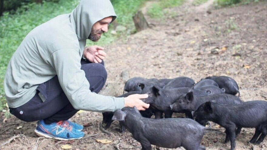 Traži se domaće: Za prve dostave bio dovoljan automobil, sad trebaju šleper