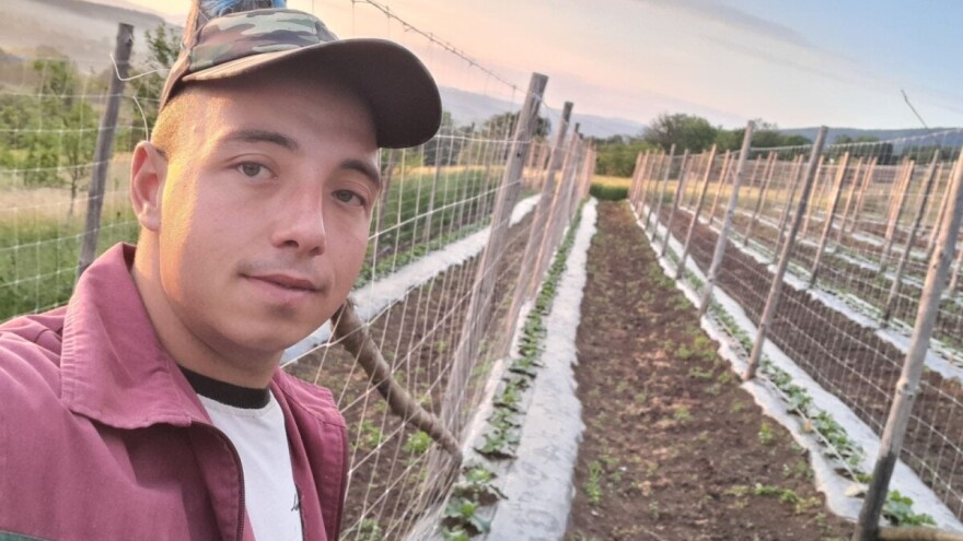 Prinosi manji, ali dominirala prva klasa kornišona