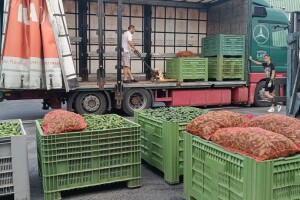 Uspješno završena sezona kornišona u Srednjoj Bosni - otkupljeno 180 tona
