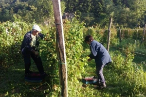 11 godina odlične saradnje sa sezoncima vraća nadu da se dobar radnik može naći, ali i zadržati
